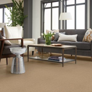 Living room carpet flooring | Rugworks | Sonoma and Rohnert Park, CA