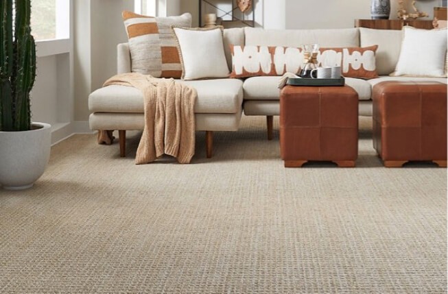 Carpet in living room | Rugworks | Sonoma and Rohnert Park, CA