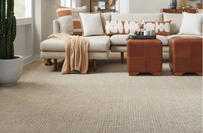 Why-choose-carpet-img